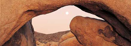 manucci.jpg manucci.jpg