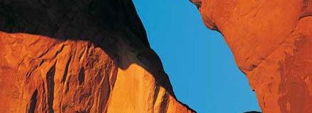 values.jpg values.jpg